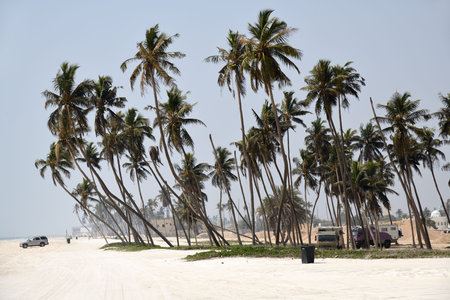 Al Haffa Beach is a picturesque stretch of coastline located in Salalah, Omanの写真素材