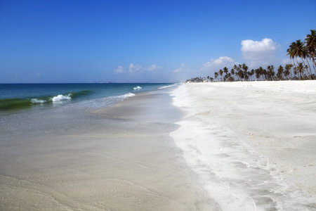 Al Haffa Beach is a picturesque stretch of coastline located in Salalah, Omanの写真素材