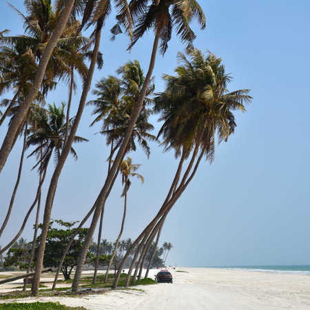 Al Haffa Beach is a picturesque stretch of coastline located in Salalah, Omanの写真素材
