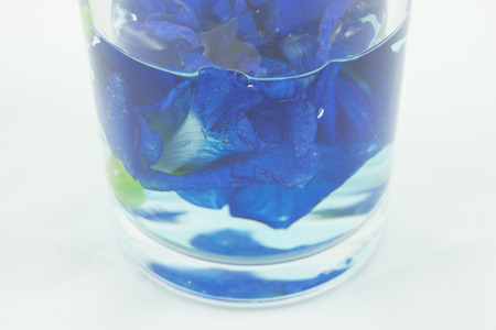 Stock Photo - Butterfly Pea Flower in water in glassの写真素材