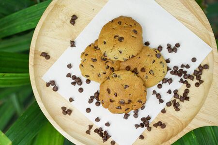 Stock Photo - Delicious chocolate chip cookies in a panの写真素材