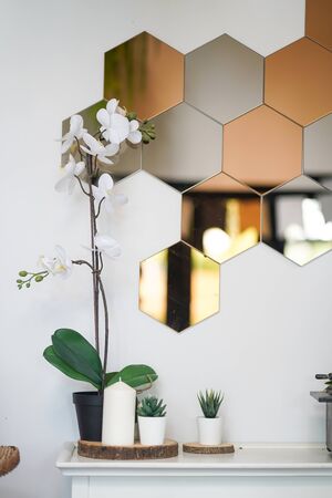 Decorative house mirror and plant orchid in potの写真素材