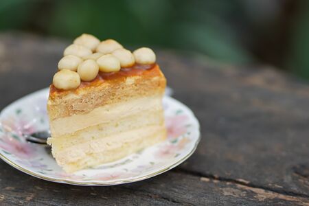 A piece of macademia cheese cakeの写真素材
