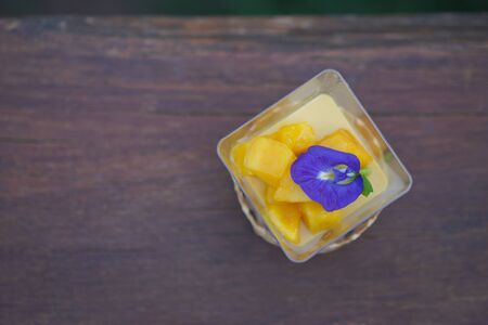 Top view of Mango pudding with Butterfly pea flowersの写真素材