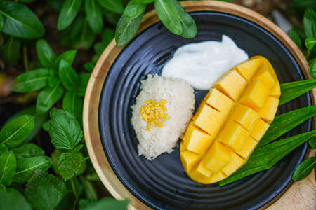 Mango with sticky rice on black plate, Thai dessertの写真素材