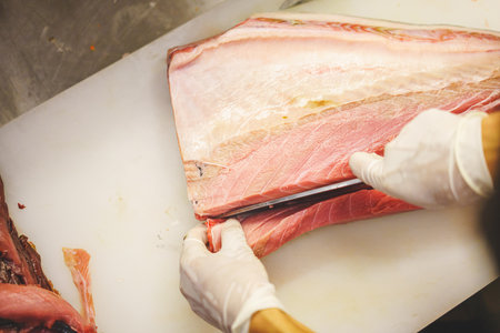 Cutting tuna fish on cutting boardの写真素材