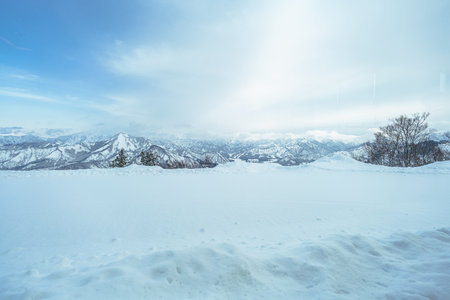 Wide scenic view of a clean, thick blanket of fresh snow in the foreground, perfect for copy space....