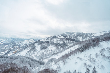 An expansive, high-angle view of a serene mountain range with slopes and forests blanketed in deep snow on a cold winter day. The landscape conveys a sense of untouched wilderness and the majesty of nature under a soft, overcast sky, perfect for winter themes.の写真素材