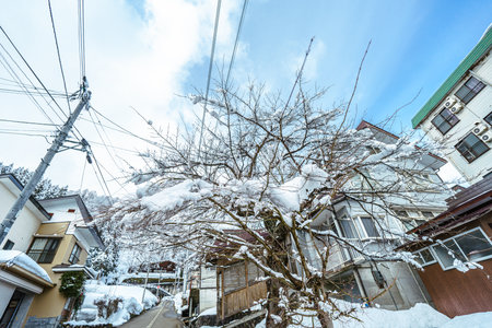 A peaceful, low-angle view of a snow-covered residential street in a Japanese town during winter. Focus on a bare tree laden with snow against a bright sky, with utility poles and wires characteristic of Japan.の写真素材
