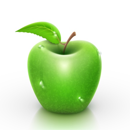 Green apple with water drops のイラスト素材