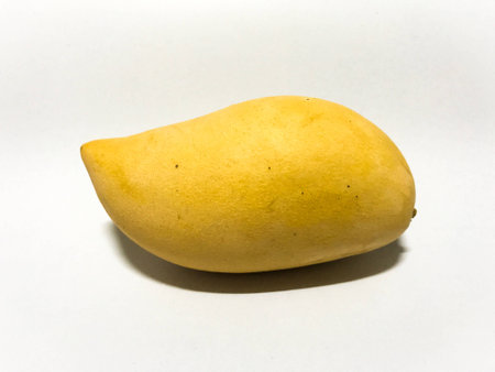 Mango from Thailandの素材