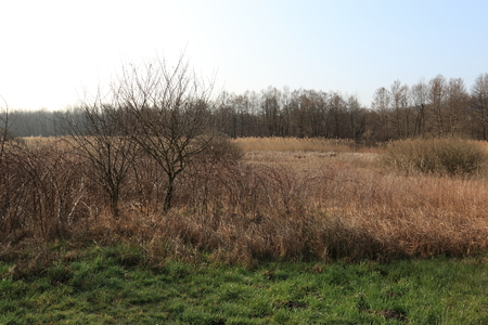 landscape of rural Lombardy near Comoの写真素材