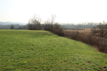 landscape of rural Lombardy near Comoの写真素材