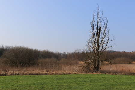 landscape of rural Lombardy near Comoの写真素材