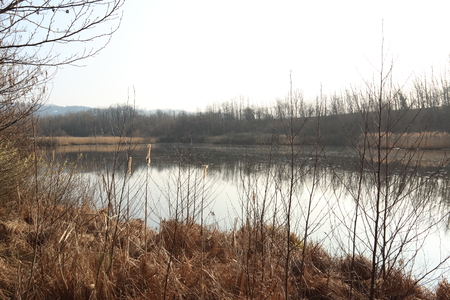 lake in the Lombardy countryside near Comoの写真素材