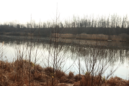lake in the Lombardy countryside near Comoの写真素材