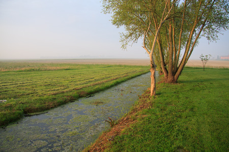 irrigation canal in the Venetian plainの写真素材