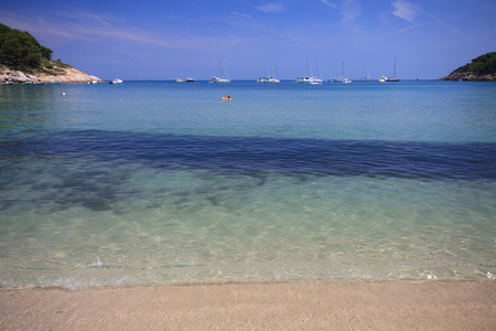 Beach of Fetovaia Elba Islandの写真素材