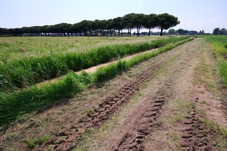 mouth of the Tagliamento  Veneto の写真素材