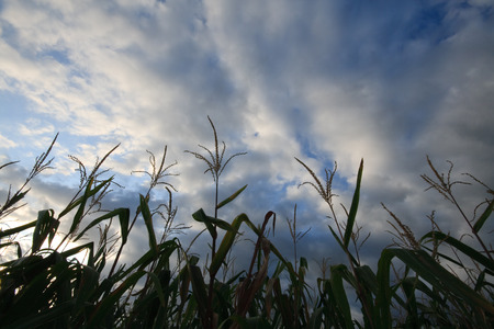 storm comingの写真素材