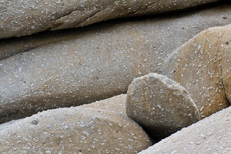 rocks in Sant Andrea - Island of Elbaの写真素材