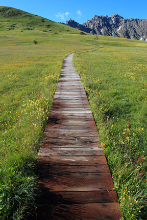 path to Alpe di Siusiの写真素材