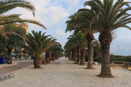 promenade of San Benedetto del Trontoのeditorial素材
