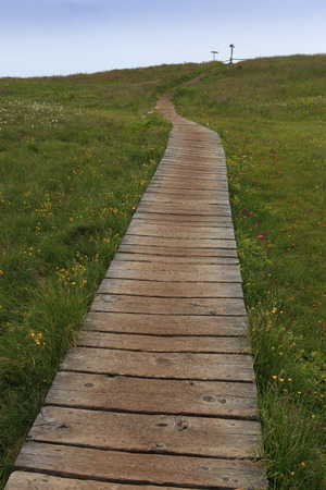 path to Alpe di Siusiの写真素材