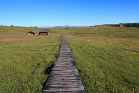 path to Alpe di Siusiの写真素材