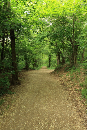 Lura Park - Guanzate (Como)の写真素材