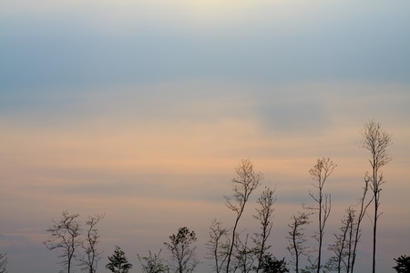 sunsetの写真素材