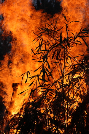 fireの写真素材