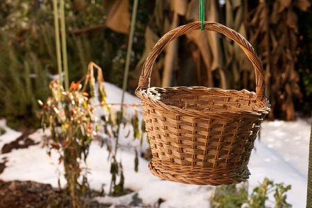 wicker basketの写真素材