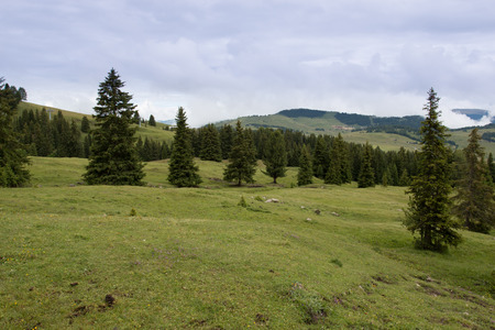 Alpe di Siusi (South Tyrol)の写真素材