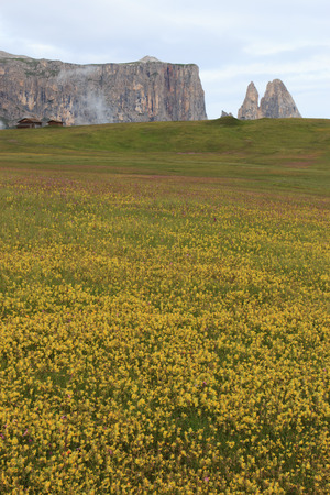 Sciliar from Seiser Almの写真素材