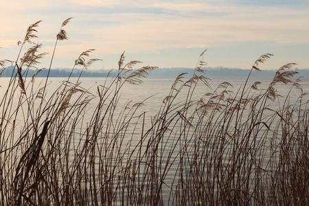 Pusiano lake, Brianzaの写真素材