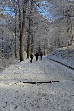 winter hike to Mount Generoso, Switzerlandの写真素材
