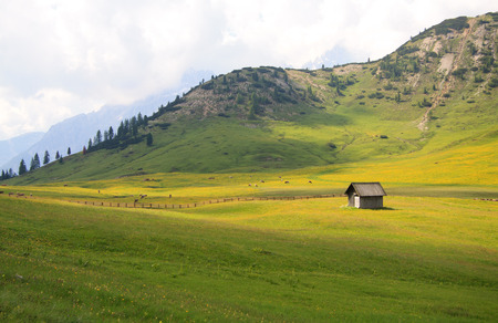 Pltzwiese Trentino South Tyrolの写真素材