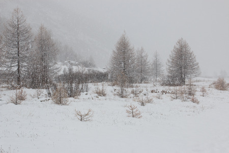snowy landscape in Pont, in Valsavarenche, in the Gran Paradiso National Park Valle d'Aostaの写真素材