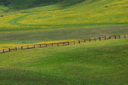 Prato Piazza - Trentino Alto Adigeの写真素材