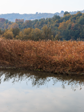 oasis of Alberone - Lombardyの写真素材