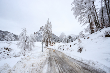 winter landscape in Val Canali, in the natural park of Paneveggio - Trentinoの写真素材