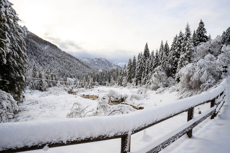 torrent Canali in winter - Val Canali, in the natural park of Paneveggio - Trentinoの写真素材