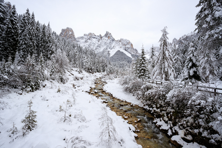 torrent Canali in winter - Val Canali, in the natural park of Paneveggio - Trentinoの写真素材