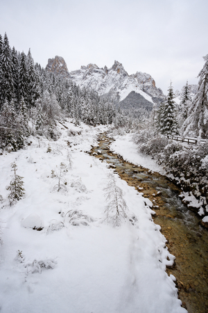 torrent Canali in winter - Val Canali, in the natural park of Paneveggio - Trentinoの写真素材