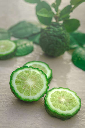BergamotCitrus hystrix