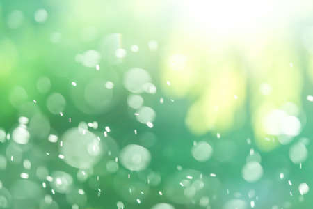 Abstract Green bokeh defocus glitter blur Background.