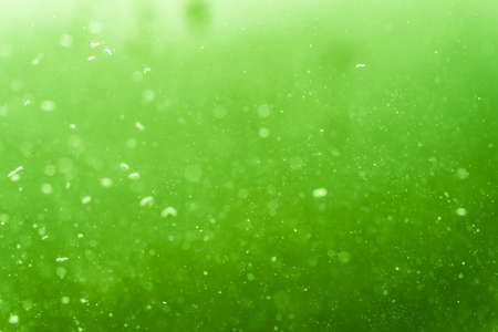 Abstract Green bokeh defocus glitter blur Background.の写真素材