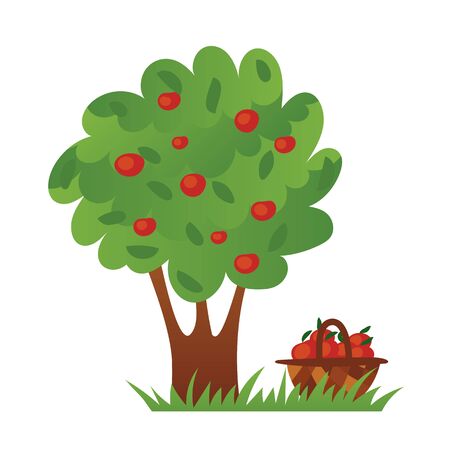 Apple tree with ripe red apples and apple basket on the green grass. のイラスト素材