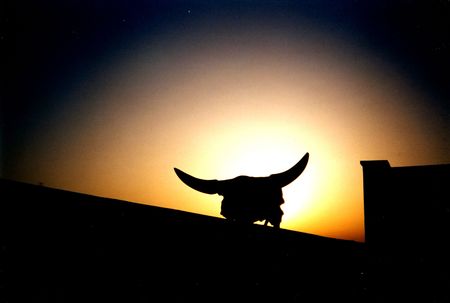 sunsetの写真素材